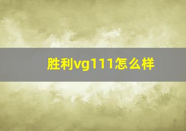 胜利vg111怎么样