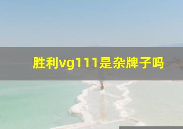 胜利vg111是杂牌子吗