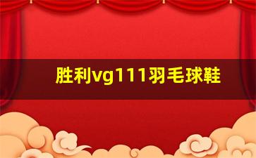 胜利vg111羽毛球鞋