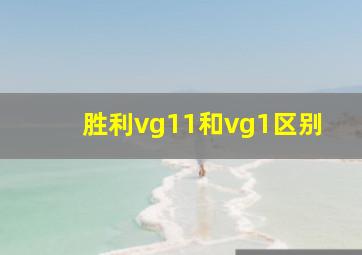 胜利vg11和vg1区别