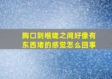 胸口到喉咙之间好像有东西堵的感觉怎么回事