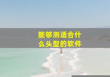 能够测适合什么头型的软件