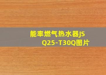 能率燃气热水器JSQ25-T30Q图片