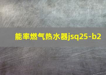 能率燃气热水器jsq25-b2