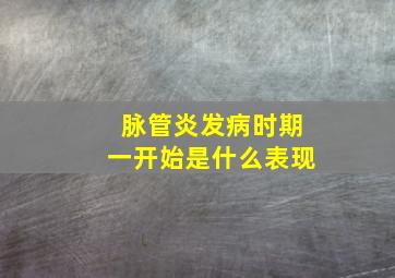 脉管炎发病时期一开始是什么表现