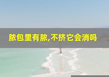 脓包里有脓,不挤它会消吗