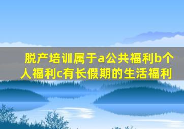 脱产培训属于a公共福利b个人福利c有长假期的生活福利