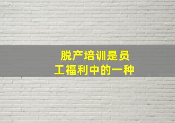 脱产培训是员工福利中的一种