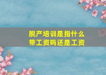 脱产培训是指什么带工资吗还是工资