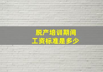 脱产培训期间工资标准是多少