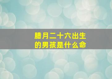 腊月二十六出生的男孩是什么命