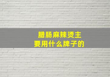 腊肠麻辣烫主要用什么牌子的