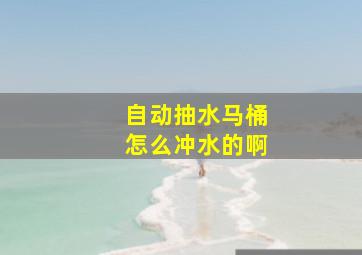 自动抽水马桶怎么冲水的啊