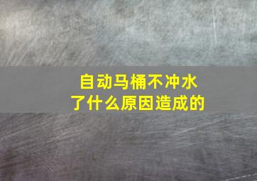 自动马桶不冲水了什么原因造成的