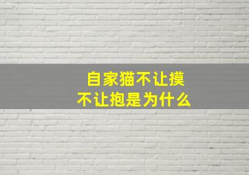 自家猫不让摸不让抱是为什么