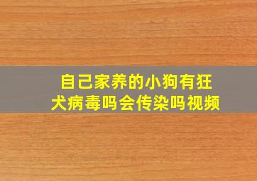 自己家养的小狗有狂犬病毒吗会传染吗视频