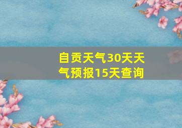 自贡天气30天天气预报15天查询