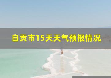 自贡市15天天气预报情况