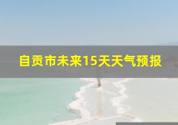 自贡市未来15天天气预报