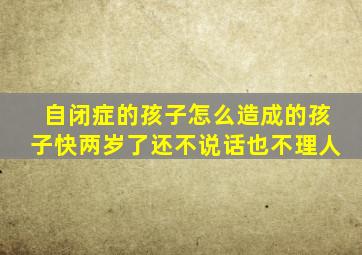 自闭症的孩子怎么造成的孩子快两岁了还不说话也不理人