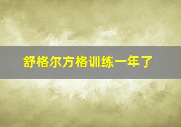 舒格尔方格训练一年了