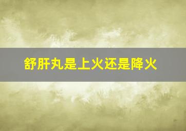 舒肝丸是上火还是降火