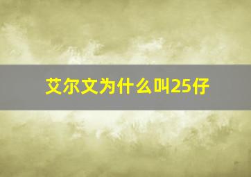 艾尔文为什么叫25仔