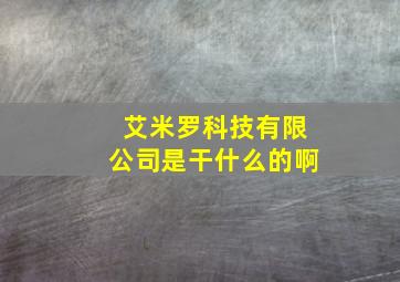 艾米罗科技有限公司是干什么的啊