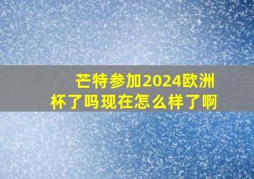 芒特参加2024欧洲杯了吗现在怎么样了啊