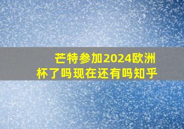 芒特参加2024欧洲杯了吗现在还有吗知乎