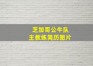 芝加哥公牛队主教练简历图片