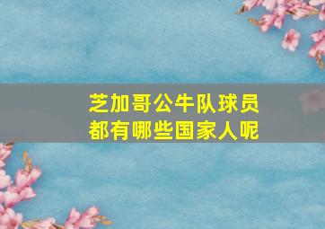 芝加哥公牛队球员都有哪些国家人呢