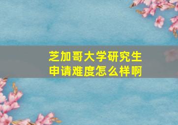 芝加哥大学研究生申请难度怎么样啊