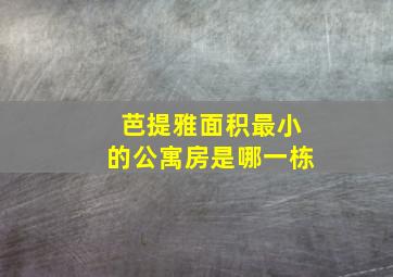 芭提雅面积最小的公寓房是哪一栋