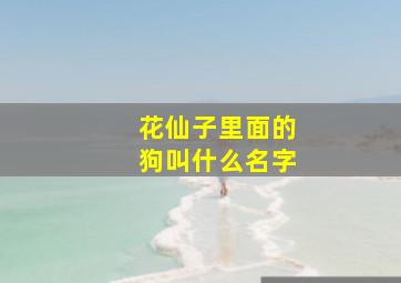 花仙子里面的狗叫什么名字