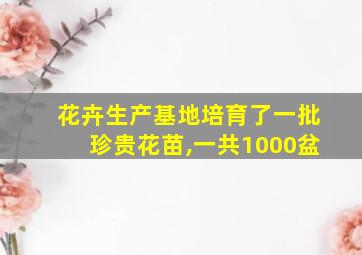 花卉生产基地培育了一批珍贵花苗,一共1000盆