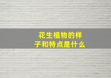 花生植物的样子和特点是什么