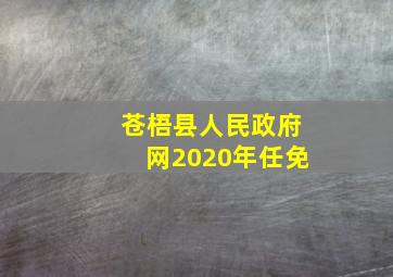 苍梧县人民政府网2020年任免