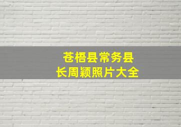 苍梧县常务县长周颖照片大全