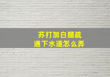 苏打加白醋疏通下水道怎么弄