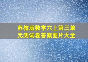 苏教版数学六上第三单元测试卷答案图片大全