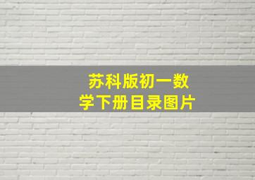 苏科版初一数学下册目录图片