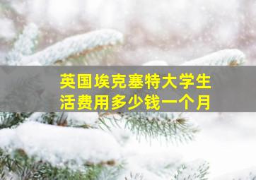 英国埃克塞特大学生活费用多少钱一个月