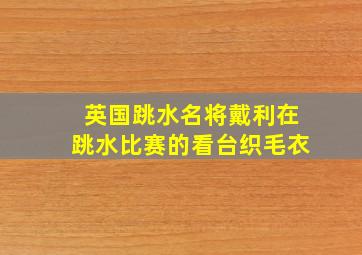 英国跳水名将戴利在跳水比赛的看台织毛衣