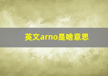 英文arno是啥意思