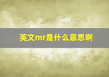 英文mr是什么意思啊