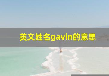 英文姓名gavin的意思