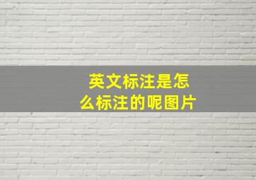 英文标注是怎么标注的呢图片