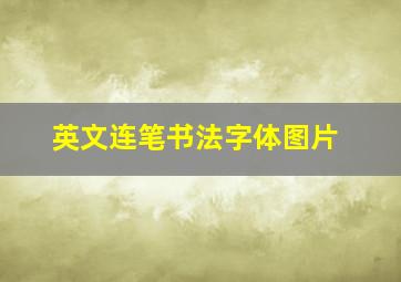 英文连笔书法字体图片