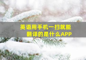 英语用手机一扫就能翻译的是什么APP